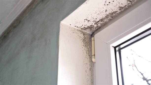 Water Damage Restoration in Red Oak, TX
