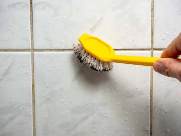 Best Same-Day Mold Removal  in Red Oak, TX