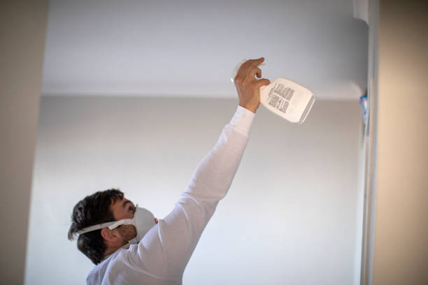 Best Best Mold Removal Companies  in Red Oak, TX