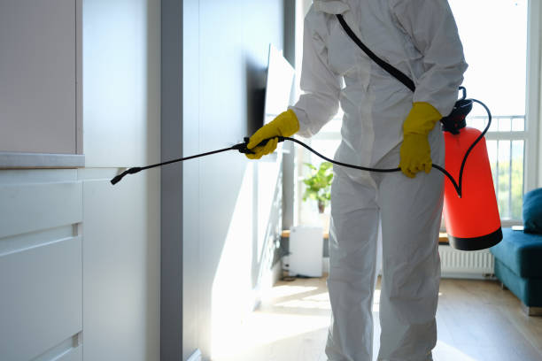 Best Mold Damage Repair  in Red Oak, TX