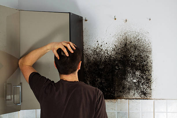 Best Affordable Mold Removal  in Red Oak, TX
